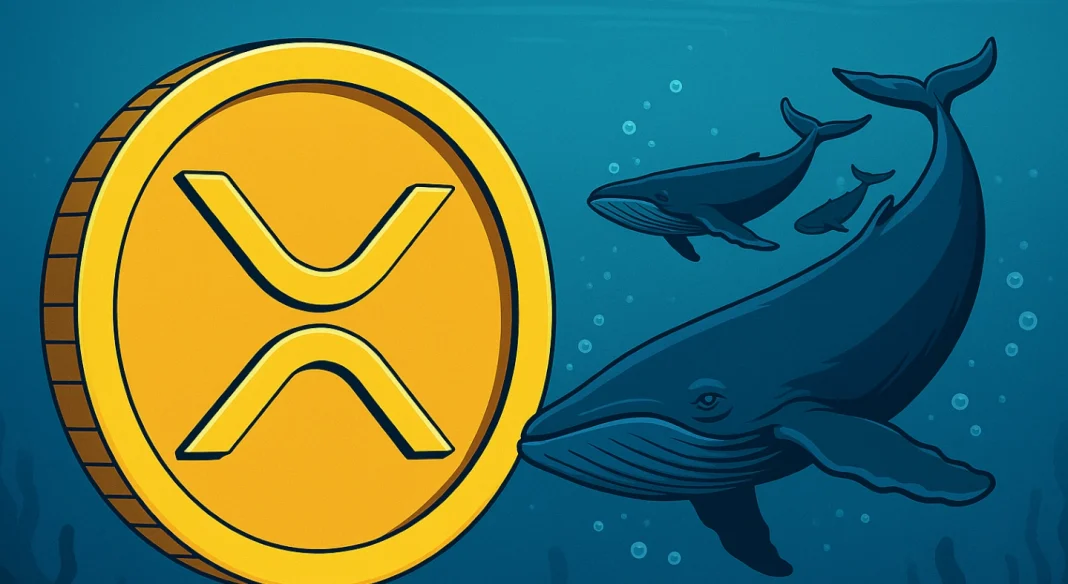 XRP whales are back in the game, and you won’t believe the numbers