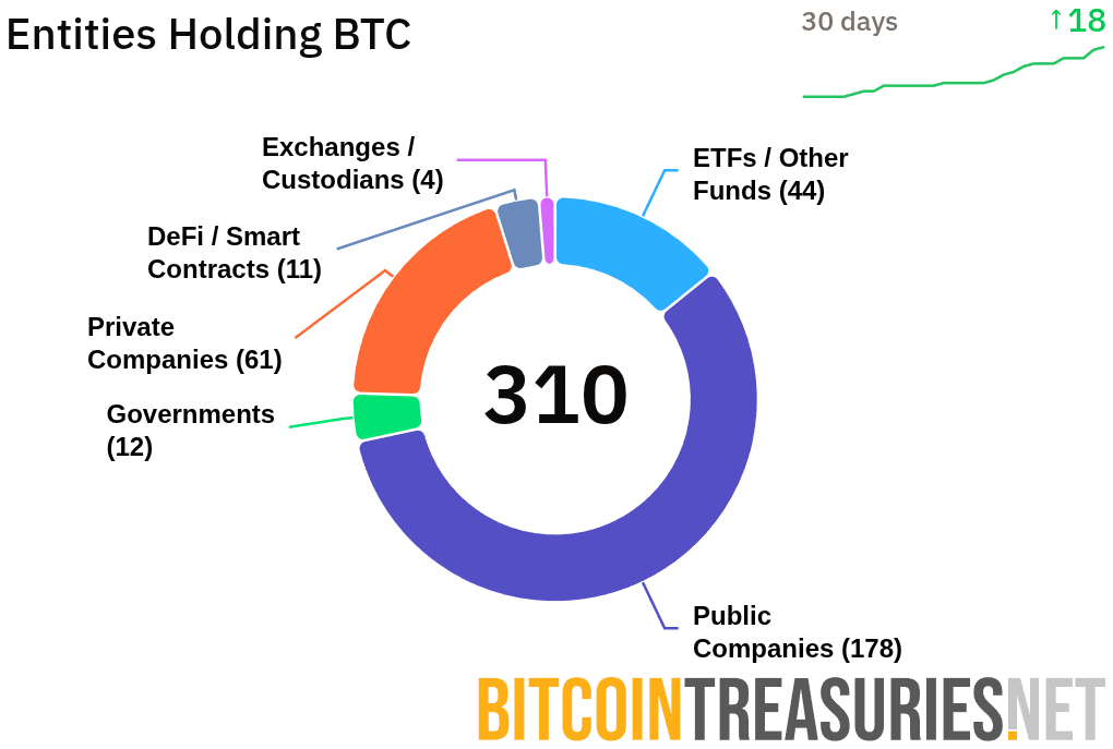 Entities Holding BTC. Source: BitcoinTreasuries.NET