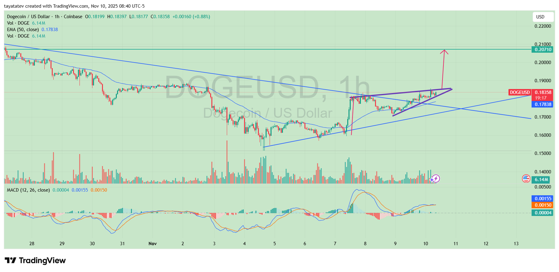 DOGE/USD 1H Rising Wedge Pattern. Source: TradingView