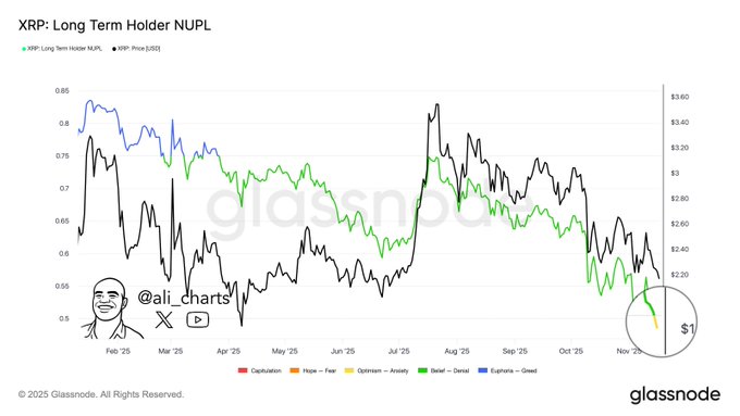 XRP Long Term Holder NUPL. Source: Glassnode