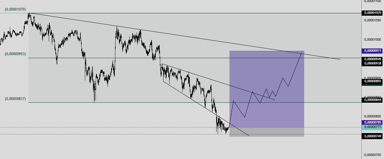 SHIB Intraday Reversal Setup. Source: TradingView