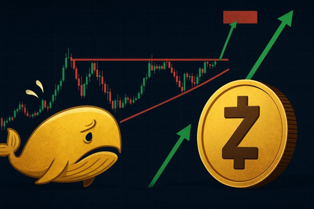 ZEC Whale Loses $5.5M Bet as Traders Eye $1,000 Breakout