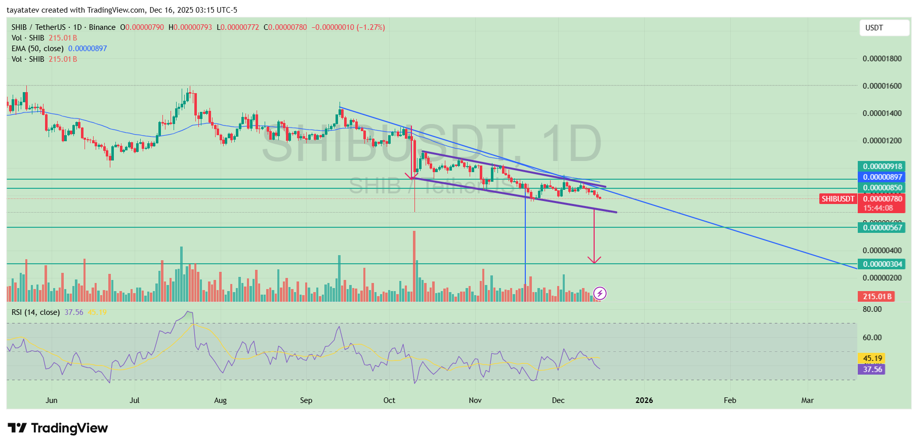 SHIB USDT Daily Bearish Flag. Source: TradingView