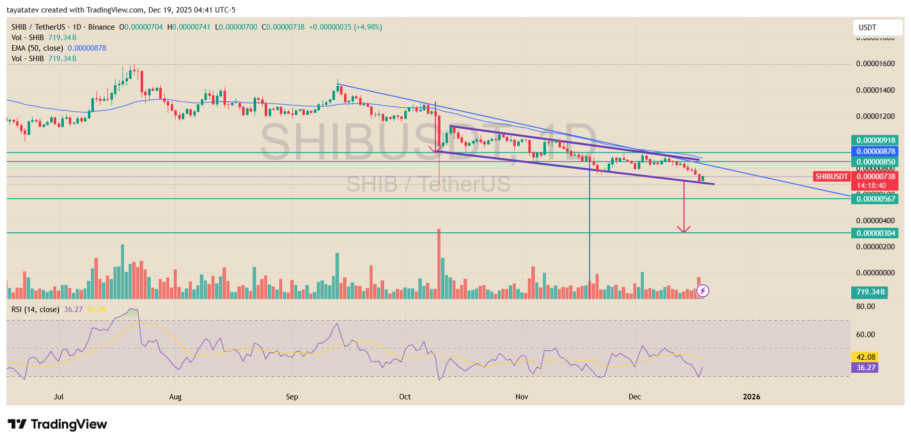 Shiba Inu Daily Bearish Flag. Source: TradingView