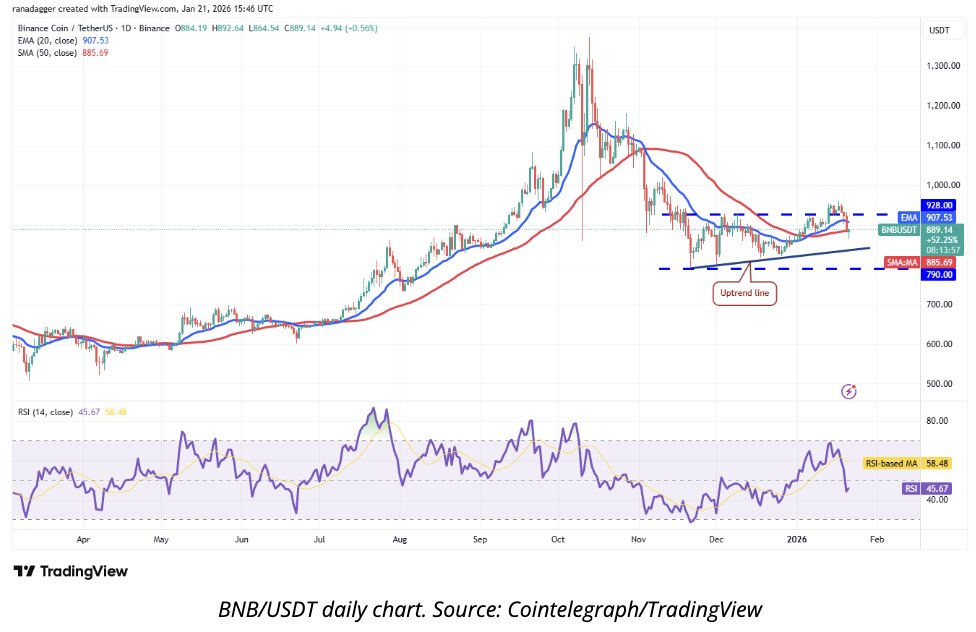 BNB USDT Daily Chart. Source: TradingView, shared by Mr. CryptoCeek on X