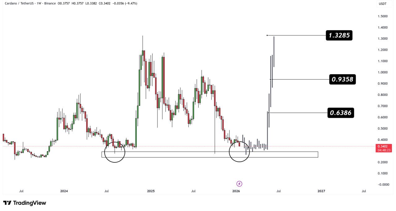 Cardano Support Zone Chart. Source: TradingView