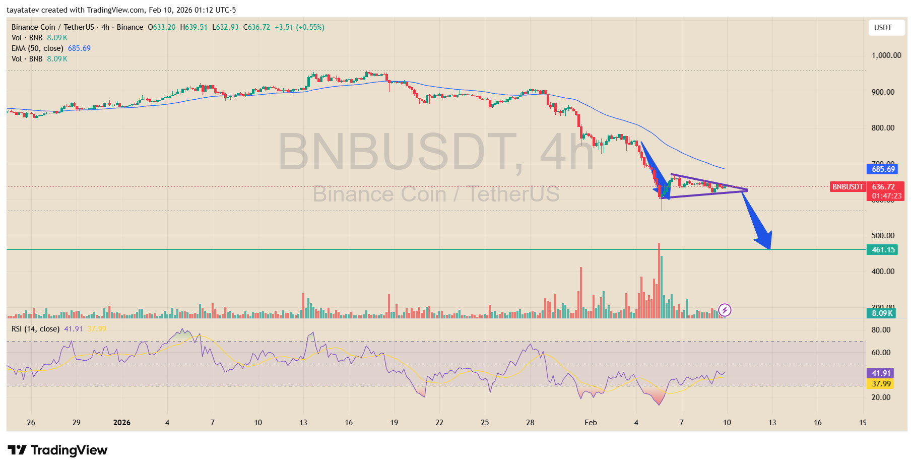 BNB Falling Wedge Chart. Source: TradingView