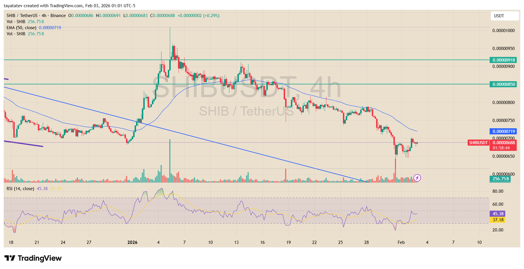 SHIB / TetherUS 4HSource: TradingView